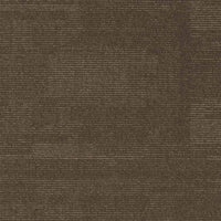 Paragon Elemental Collection Millstone Pennine Moss Carpet Tiles