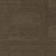 Paragon Elemental Collection Millstone Pennine Moss Carpet Tiles - DCTUK