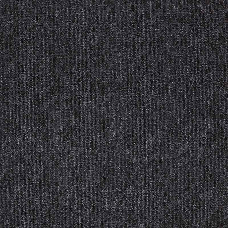 Paragon Macaw Quartz Carpet Tiles - DCTUK