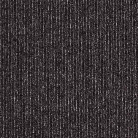 Paragon Macaw Stripe Jet/Quartz 821101 Carpet Tiles - DCTUK