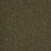 Paragon Macaw Stripe Lime/Quartz 318101 Carpet Tiles - DCTUK