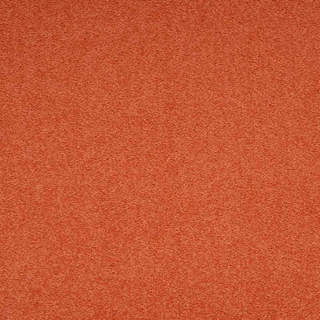 Paragon Maestro38 Auburn Falls Carpet Tiles - DCTUK