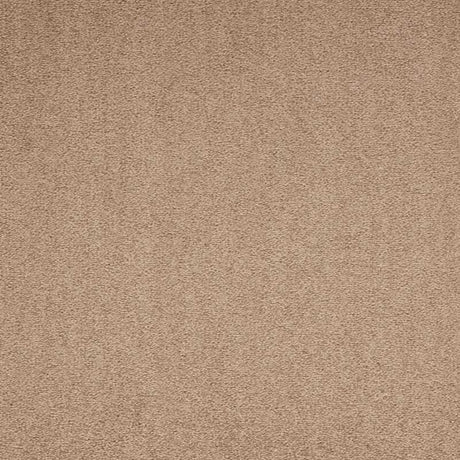 Paragon Maestro38 Beige Carpet Tiles - DCTUK
