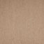Paragon Maestro38 Beige Carpet Tiles - DCTUK