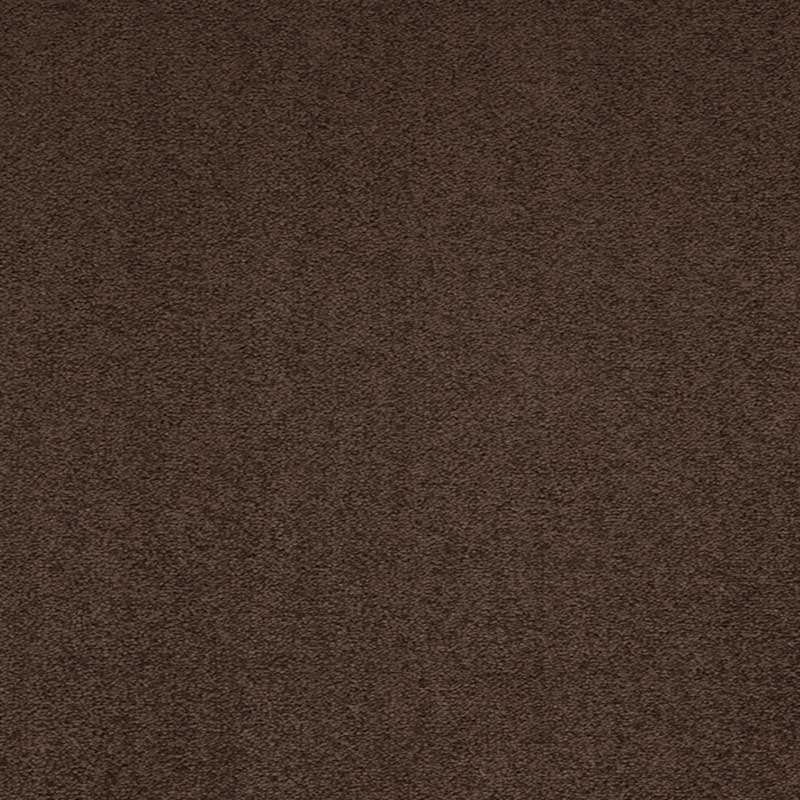 Paragon Maestro38 Blush Carpet Tiles - DCTUK