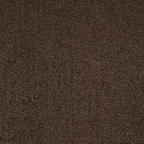 Paragon Maestro38 Blush Carpet Tiles - DCTUK
