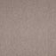Paragon Maestro38 Bracken Salts Carpet Tiles - DCTUK