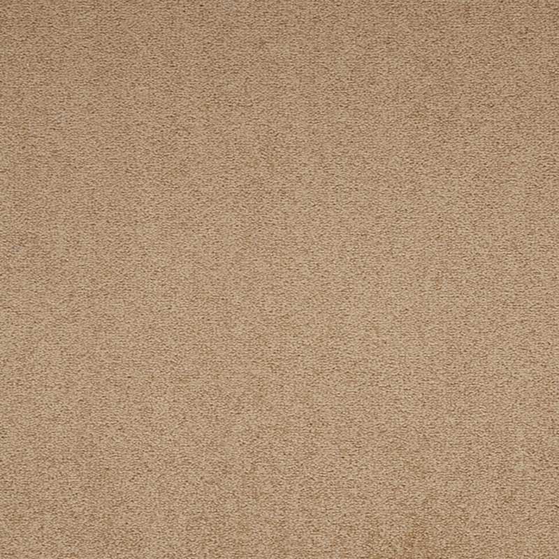 Paragon Maestro38 Earth Glaze Carpet Tiles - DCTUK