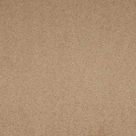 Paragon Maestro38 Earth Glaze Carpet Tiles - DCTUK