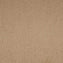 Paragon Maestro38 Earth Glaze Carpet Tiles - DCTUK