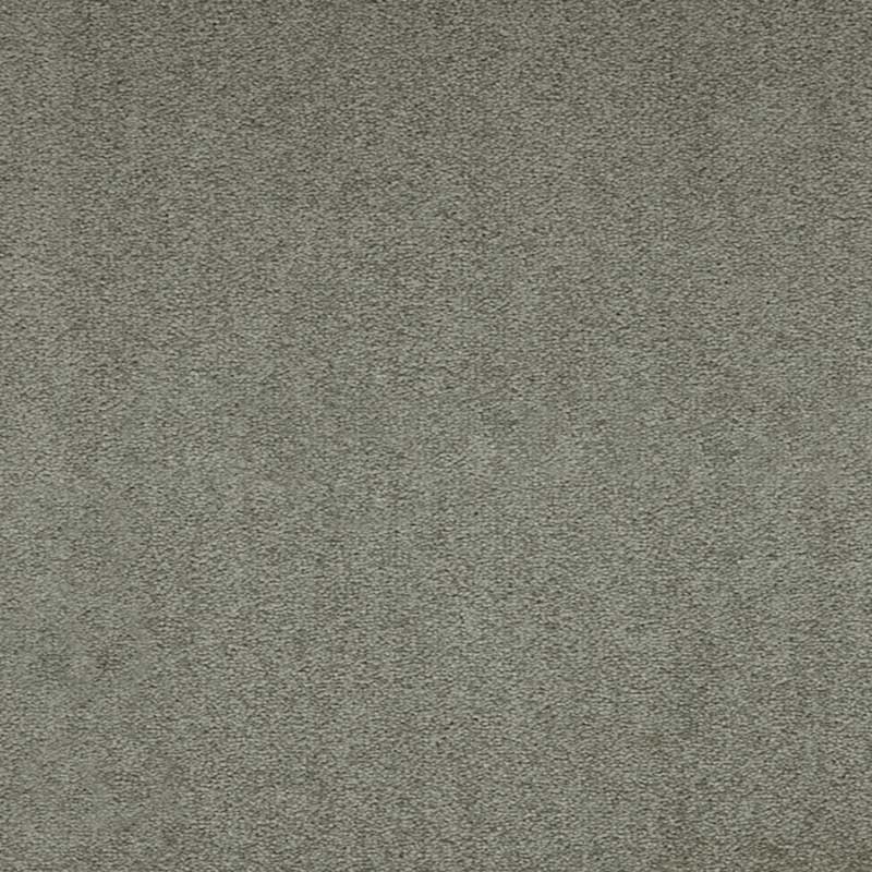 Paragon Maestro38 Indian Ivy Carpet Tiles - DCTUK