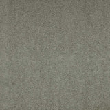 Paragon Maestro38 Indian Ivy Carpet Tiles - DCTUK