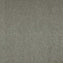 Paragon Maestro38 Indian Ivy Carpet Tiles - DCTUK