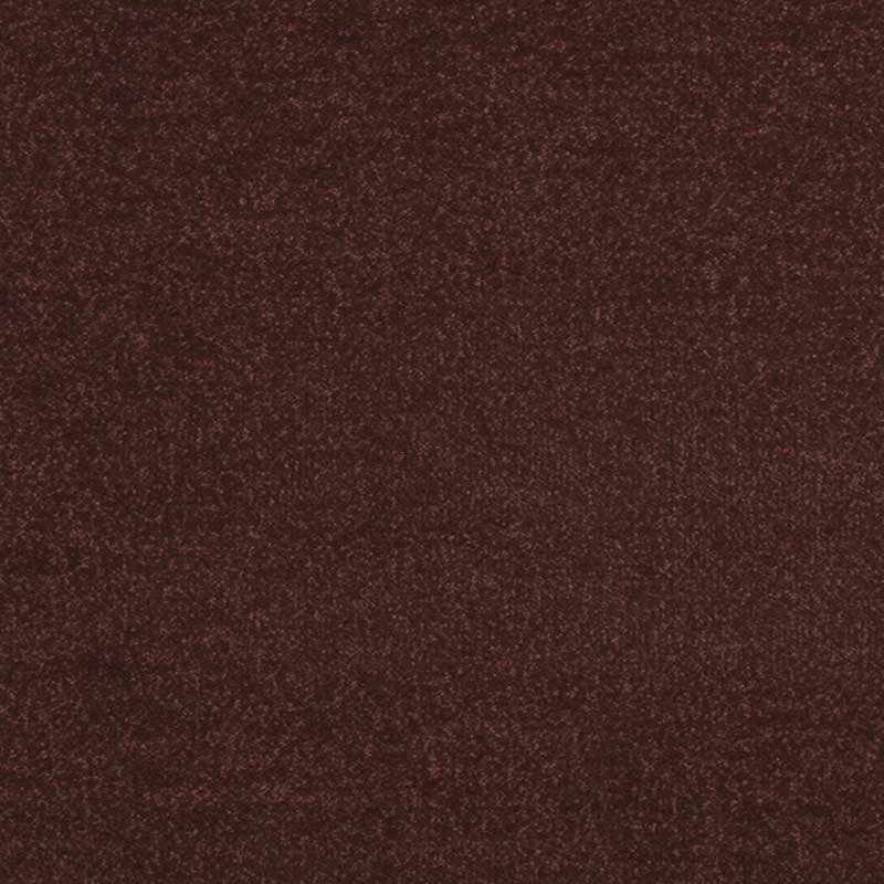 Paragon Maestro38 Sycamore Carpet Tiles - DCTUK