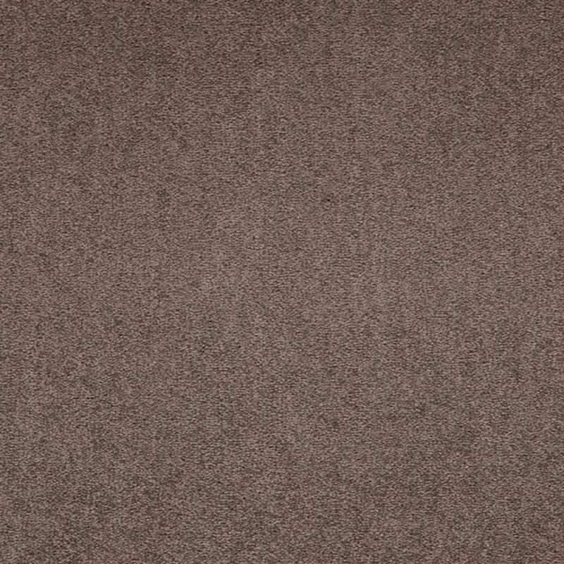 Paragon Maestro38 Velvet Truffle Carpet Tiles - DCTUK
