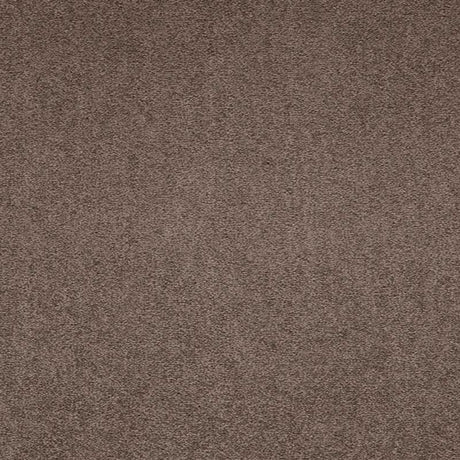 Paragon Maestro38 Velvet Truffle Carpet Tiles - DCTUK