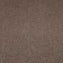 Paragon Maestro38 Velvet Truffle Carpet Tiles - DCTUK