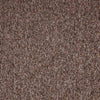 Paragon Toccarre Montagna Carpet Tiles - DCTUK