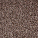 Paragon Toccarre Montagna Carpet Tiles - DCTUK