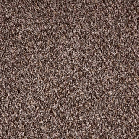 Paragon Toccarre Montagna Carpet Tiles - DCTUK