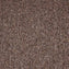 Paragon Toccarre Montagna Carpet Tiles - DCTUK