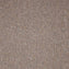 Paragon Workspace Loop Sandstone Carpet Tiles - DCTUK