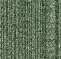 Forbo Tessera Outline Peapod Carpet Tiles