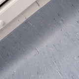 Polyflor 2000 PUR Blossom 8900 Sheet Vinyl - DCTUK