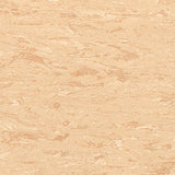 Polyflor 2000 PUR Blossom 8900 Sheet Vinyl - DCTUK