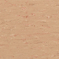 Polyflor 2000 PUR Buckwheat 8850 Sheet Vinyl
