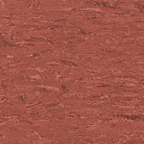 Polyflor 2000 PUR Sequoia 8400 Sheet Vinyl - DCTUK