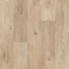 Polyflor Expona Flow PUR Wood Eden Oak 9671 Sheet Vinyl - DCTUK