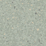 Polyflor Finesse SD Woodglade 5840 Sheet Vinyl - DCTUK