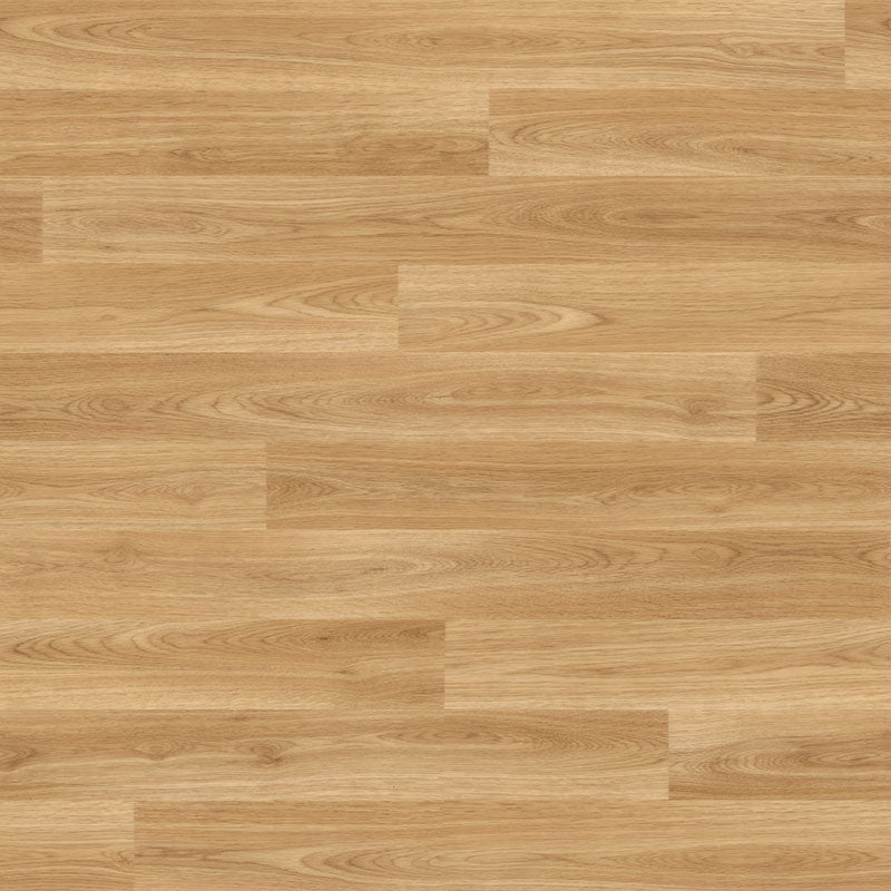 Polyflor Forest FX PUR American Oak 3380 Sheet Vinyl - DCTUK