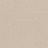 Polyflor Palettone PUR Earthenware 8641 Sheet Vinyl - DCTUK