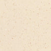 Polyflor Palettone SD Harvest Air 8620 Sheet Vinyl - DCTUK