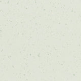 Polyflor Palettone SD Woodland Air 8615 Sheet Vinyl - DCTUK