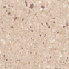 Polyflor Prestige PUR Cinnamon 1850 Sheet Vinyl - DCTUK