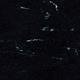 Polyflor Standard XL Black Panther 8640 Sheet Vinyl - DCTUK