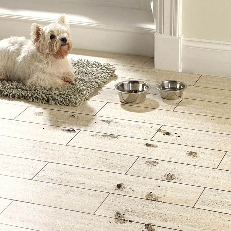 Polyflor Walnut Marquetry Feature Strip Feature Strips - DCTUK