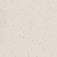 Polyflor Polysafe Quattro PUR Lunar Shell 5772 Sheet Vinyl