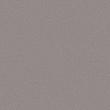 Polysafe QuickLay PUR Pebble Shore 6250 Sheet Vinyl - DCTUK