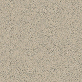 Polysafe Standard PUR Wild Mushroom 4600 Sheet Vinyl - DCTUK