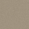 Polysafe Stone fx PUR Andesite 4049 Sheet Vinyl - DCTUK