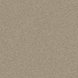 Polysafe Stone fx PUR Andesite 4049 Sheet Vinyl - DCTUK