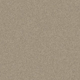 Polysafe Stone fx PUR Andesite 4049 Sheet Vinyl - DCTUK