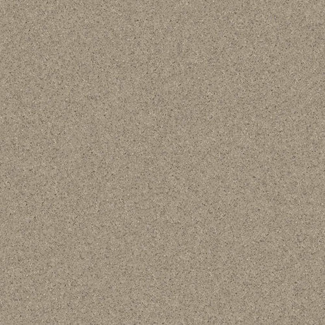 Polysafe Stone fx PUR Andesite 4049 Sheet Vinyl - DCTUK