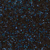 Polysafe Vogue Ultra PUR Galactic 4815 Sheet Vinyl - DCTUK