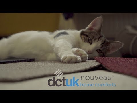 Nouveau Home Comforts