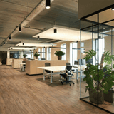 Gerflor Creation 55 Gluedown Savage Oak Greige 1708